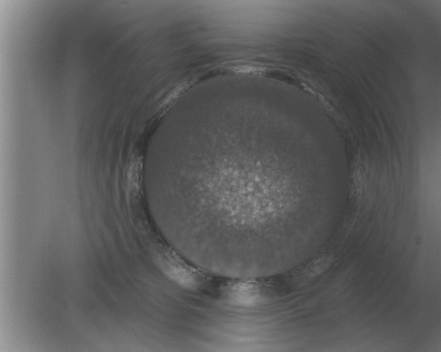 X0000080180325200612302252