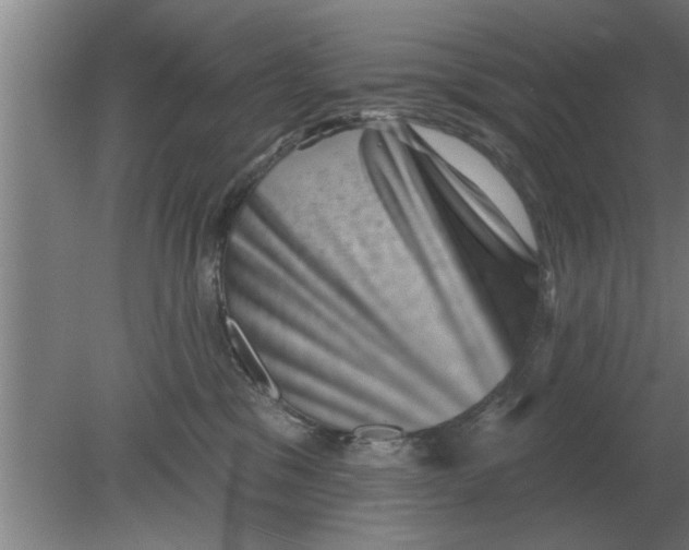 X0000080180329200612302251