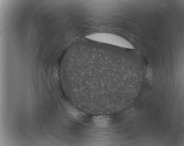 X0000080180331200612302251