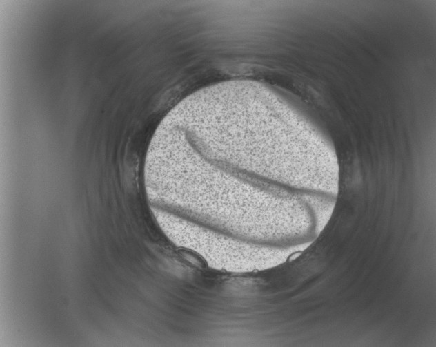 X0000080180332200612302251