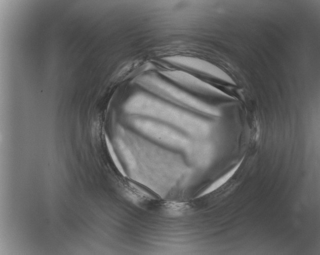 X0000080180333200612302251