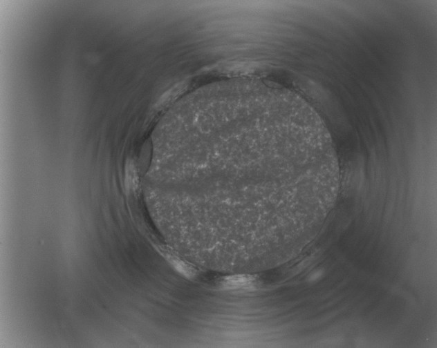 X0000080180335200612302251