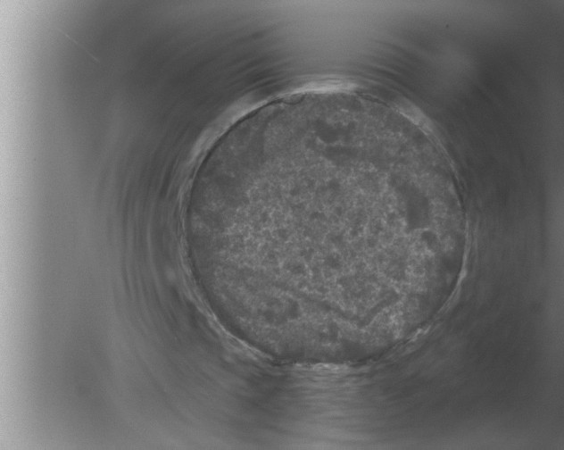 X0000080180337200612302251