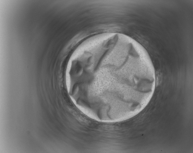 X0000080180339200612302251