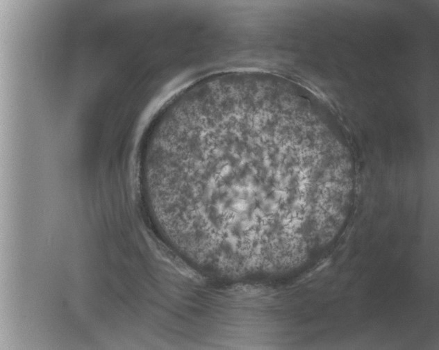 X0000080180343200612302251