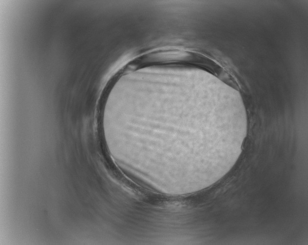 X0000080180344200612302251