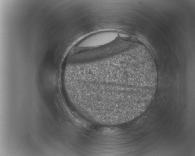 X0000080180346200612302251