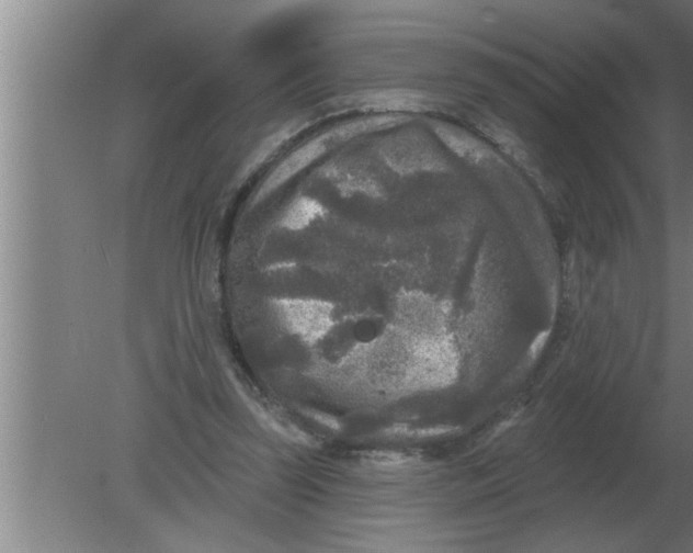 X0000080180347200612302251