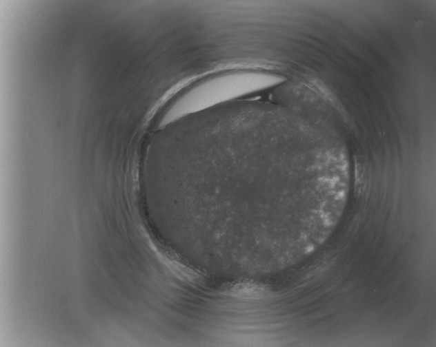 X0000080180348200612302251