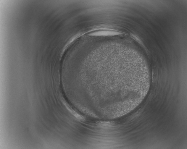 X0000080180349200612302251