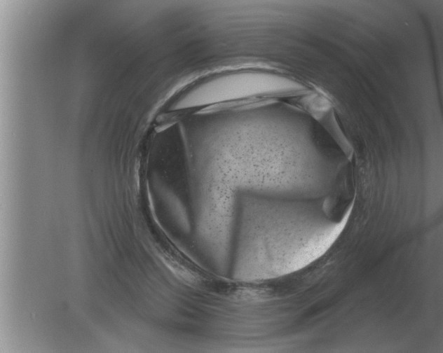 X0000080180350200612302251