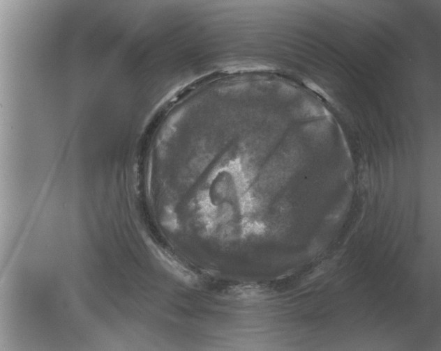 X0000080180351200612302251