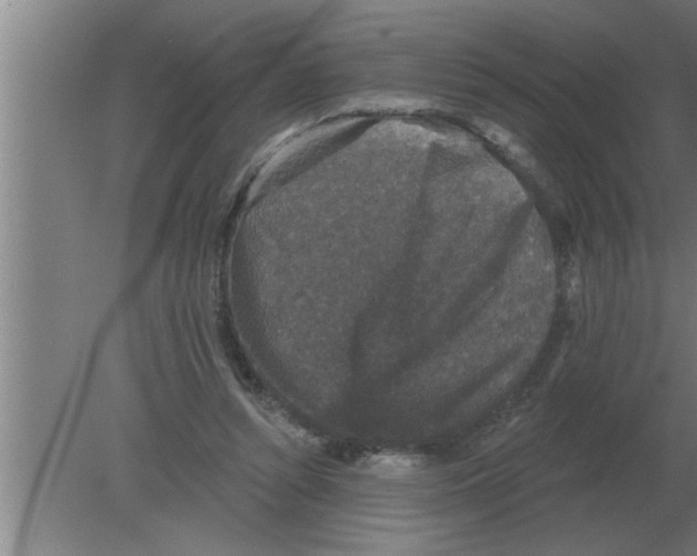 X0000080180352200612302251