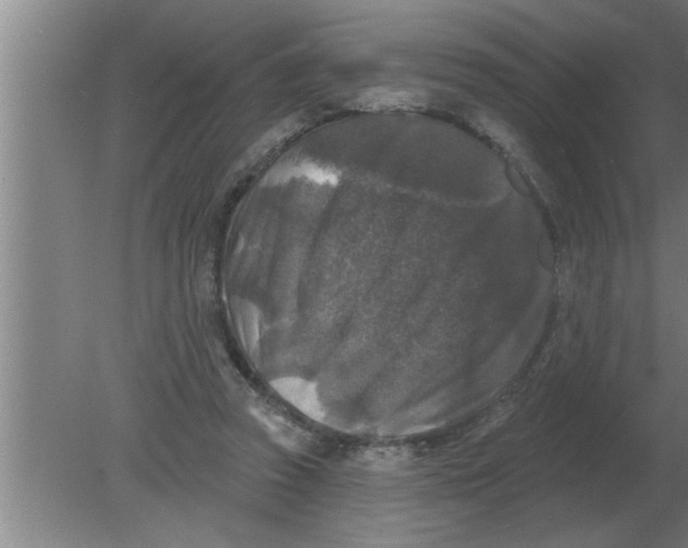 X0000080180353200612302251