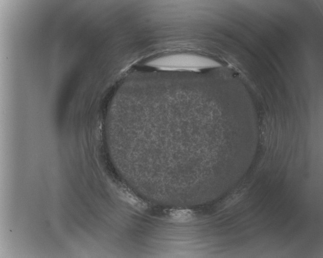 X0000080180355200612302251