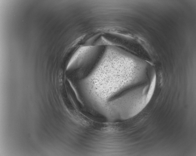 X0000080180356200612302251