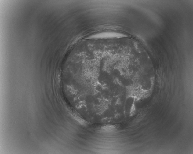 X0000080180357200612302251