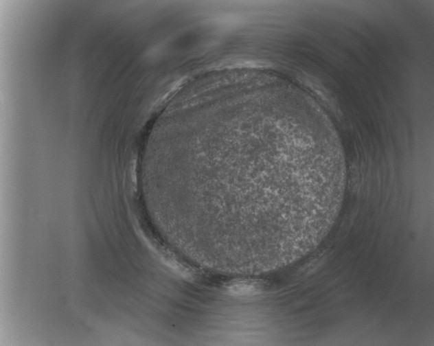 X0000080180358200612302251