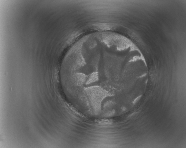 X0000080180359200612302251