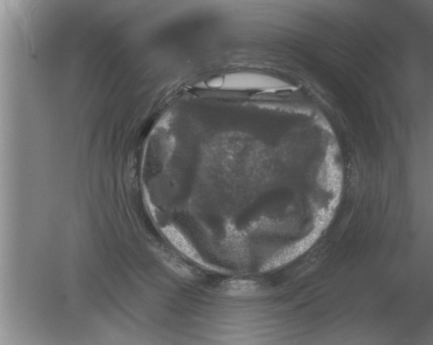 X0000080180361200612302251