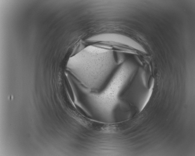 X0000080180362200612302251