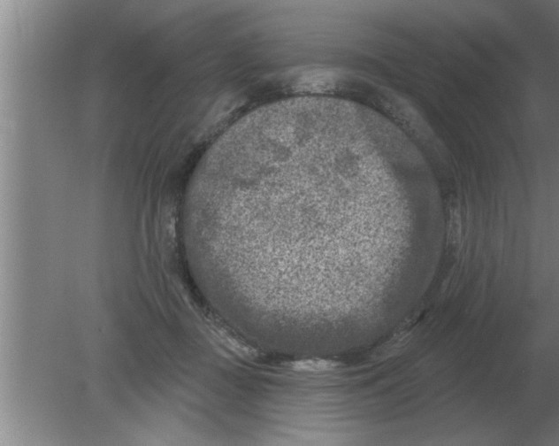 X0000080180363200612302251