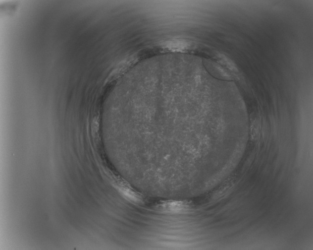 X0000080180365200612302251