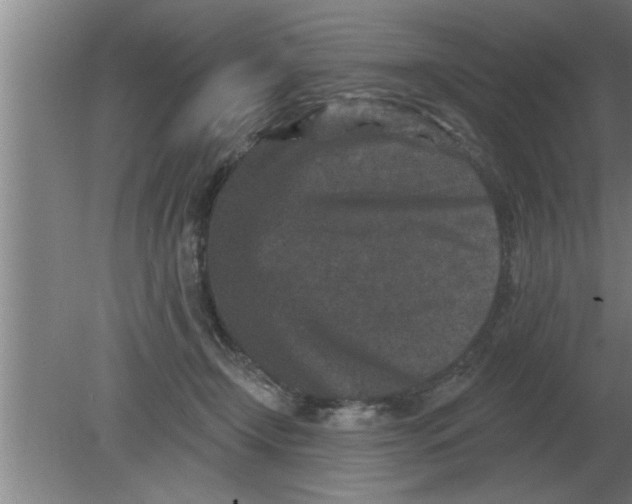 X0000080180366200612302251