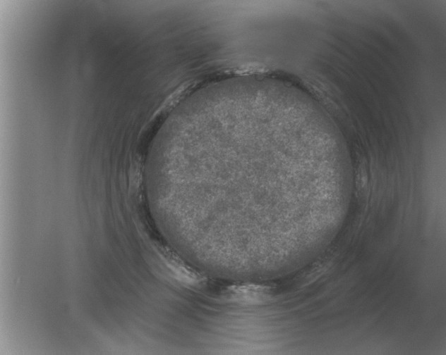 X0000080180367200612302251