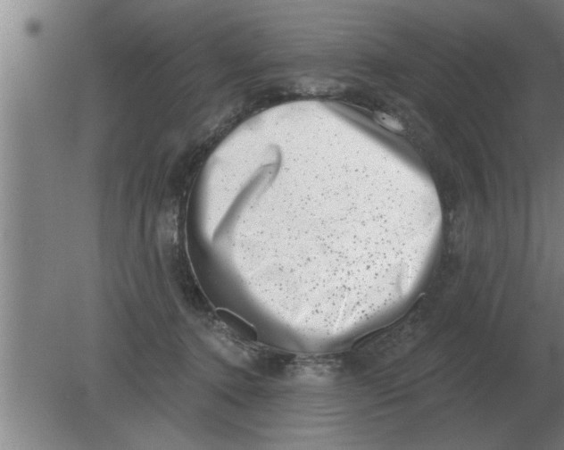 X0000080180368200612302251