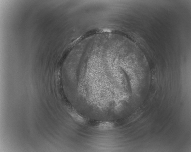 X0000080180369200612302251