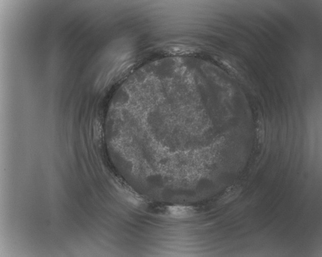 X0000080180371200612302251