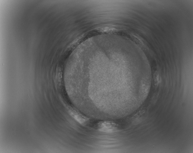 X0000080180372200612302251