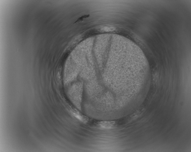 X0000080180373200612302251