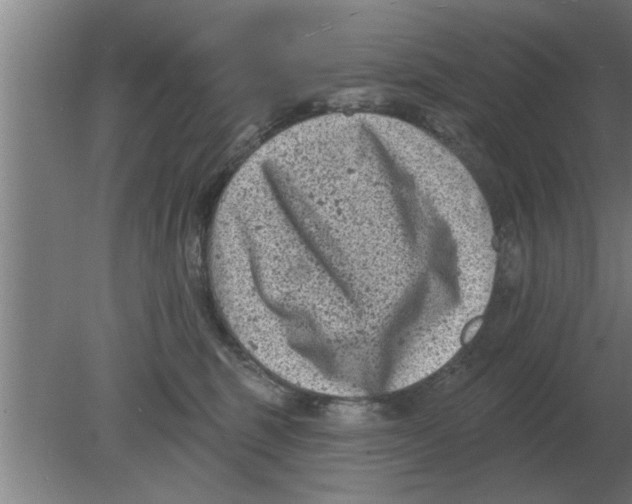 X0000080180375200612302251