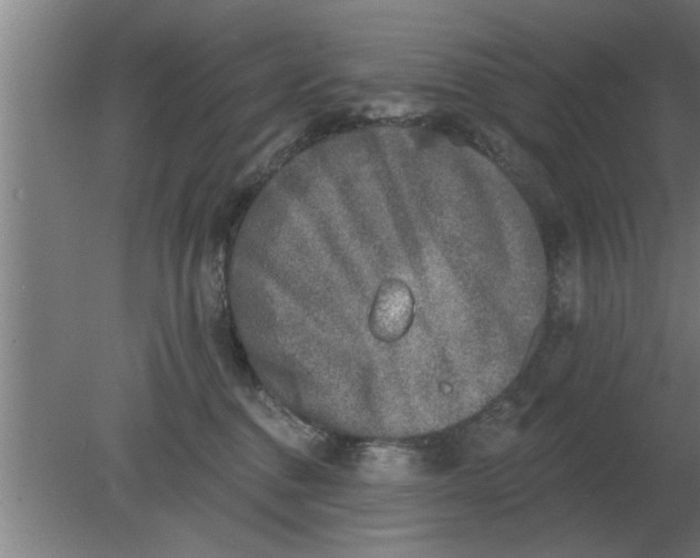 X0000080180376200612302251