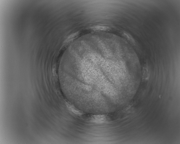 X0000080180377200612302251