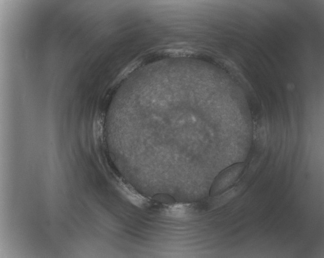 X0000080180382200612302251