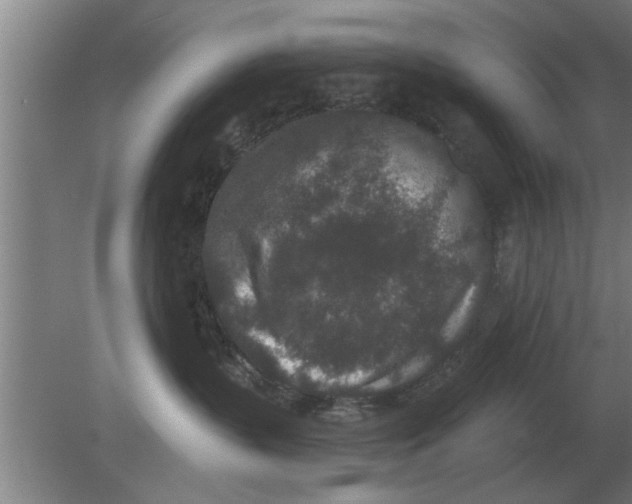 X0000080180383200612302251