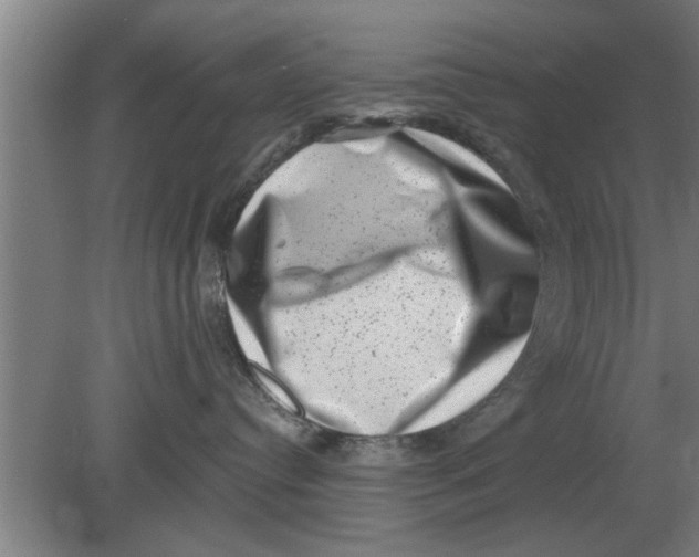 X0000080180384200612302251