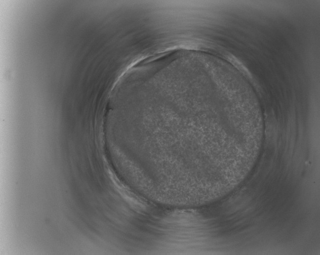 X0000080180386200612302251