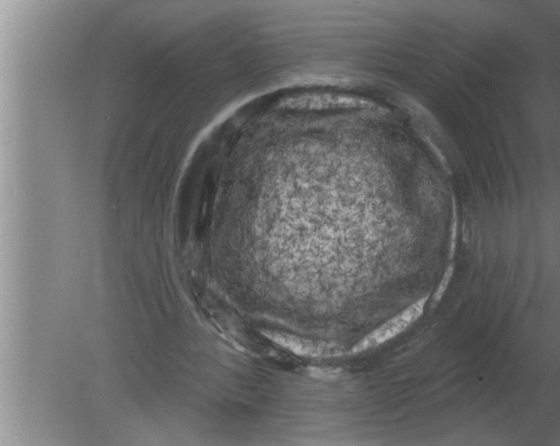 X0000080180388200612302250