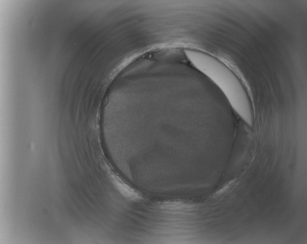 X0000080180389200612302250