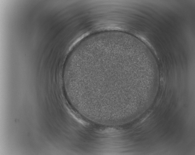 X0000080180390200612302250