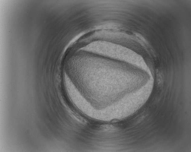 X0000080180392200612302250