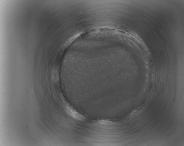 X0000080180393200612302250