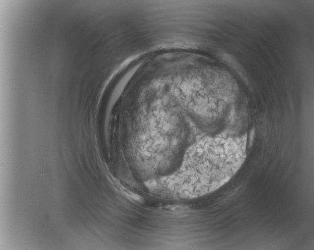 X0000080180395200612302250