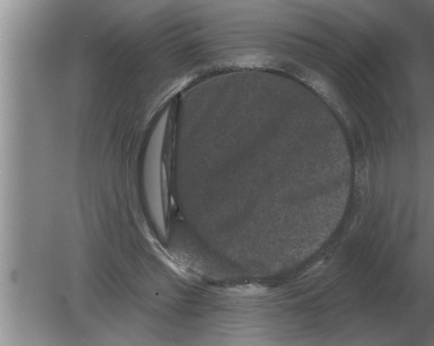 X0000080180397200612302250