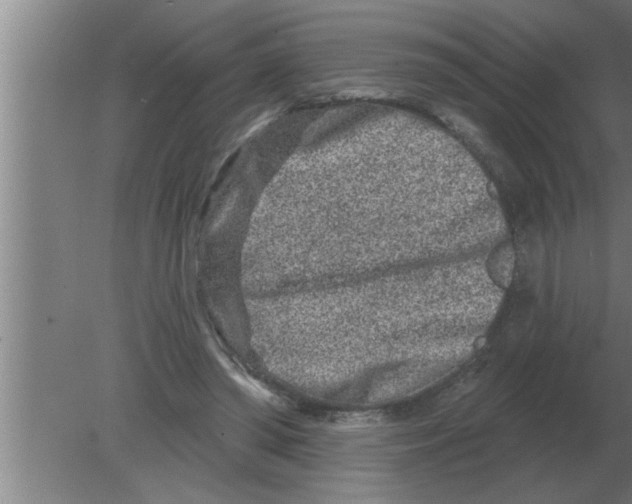 X0000080180398200612302250