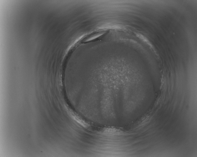 X0000080180399200612302250